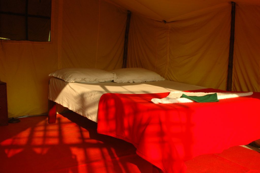 Premium Tent